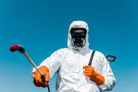 Reliable Clifton Gardens, NY Pest control Solutions